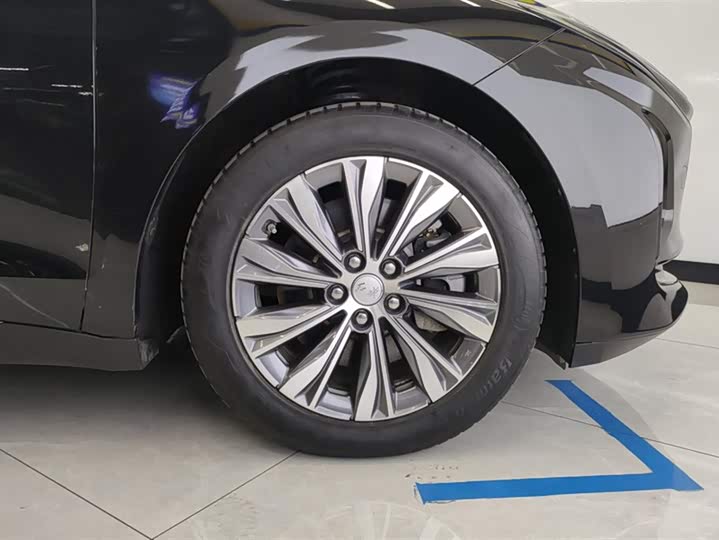 Фото 6 - Hongqi E-QM5