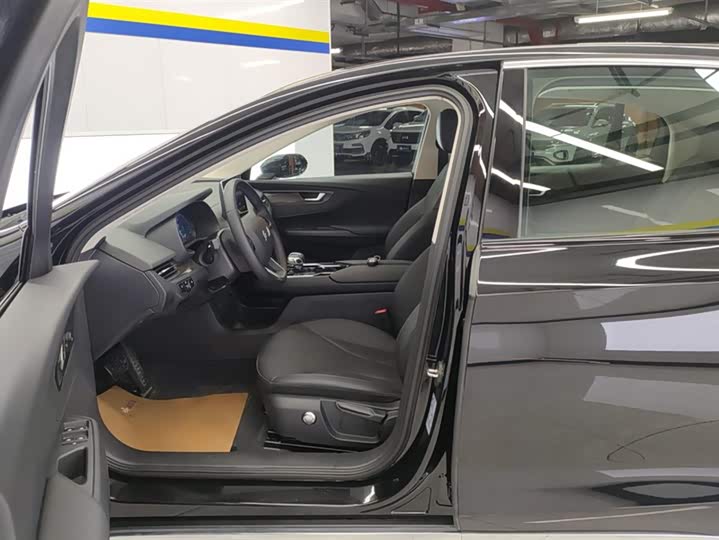 Фото 9 - Hongqi E-QM5