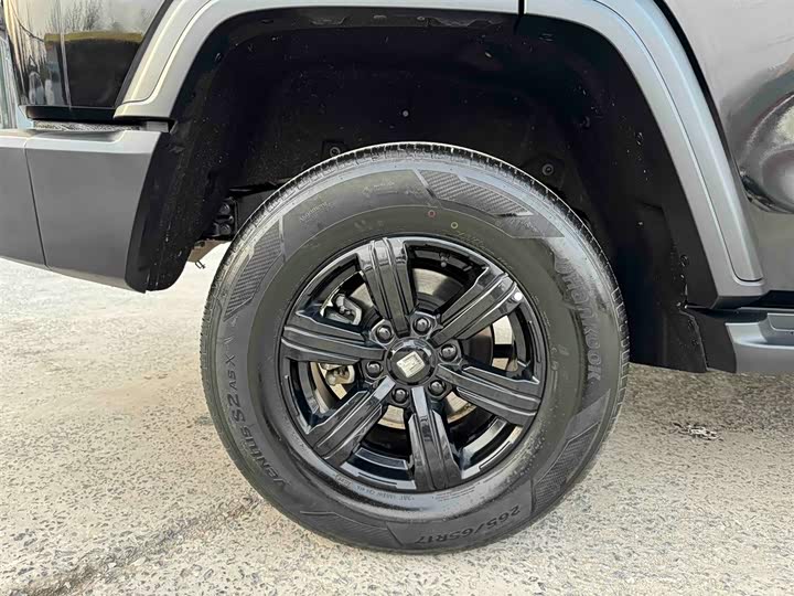 Фото 7 - Tank 300