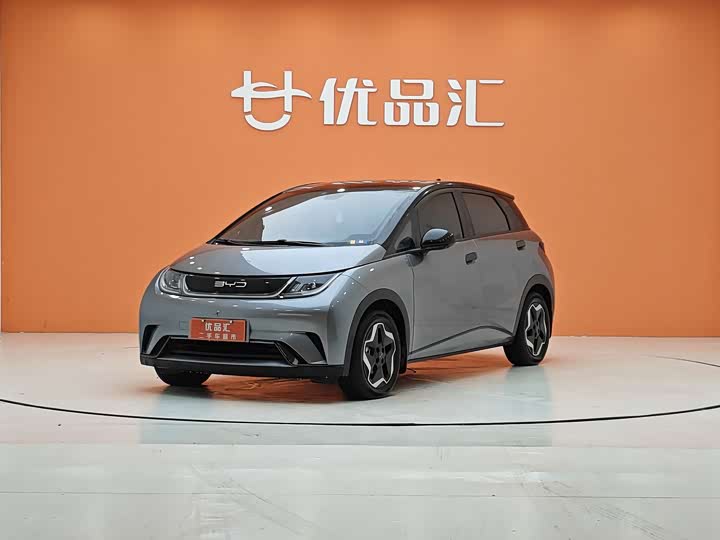 Фото 1 - BYD Dolphin