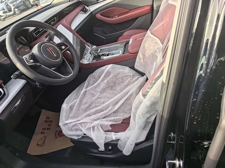 Фото 6 - Hongqi H5