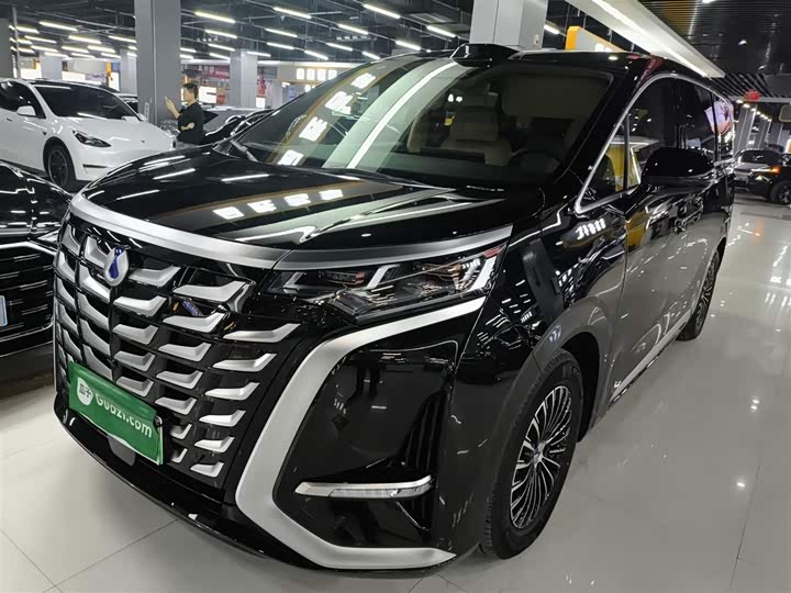 Фото 2 - Denza D9