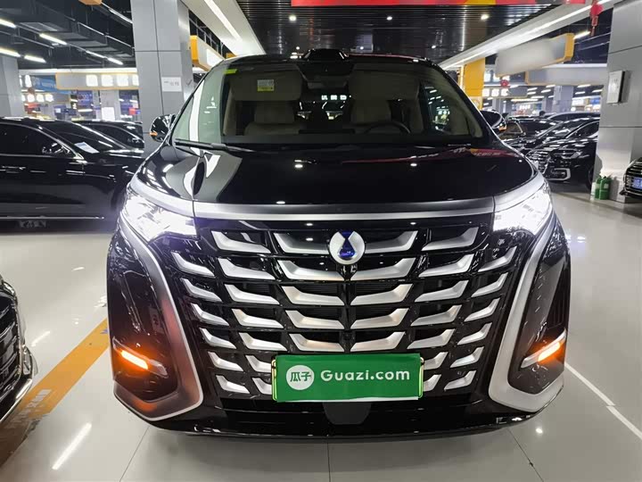 Фото 3 - Denza D9