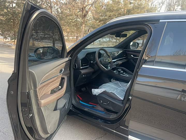 Фото 8 - Geely Monjaro