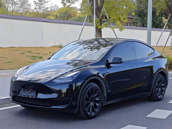 Фото 1 - Tesla Model Y