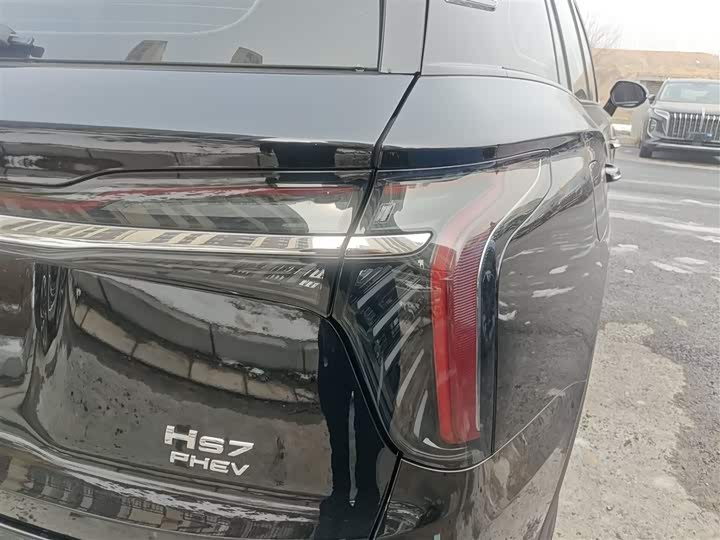 Фото 8 - Hongqi HS7 Hybrid