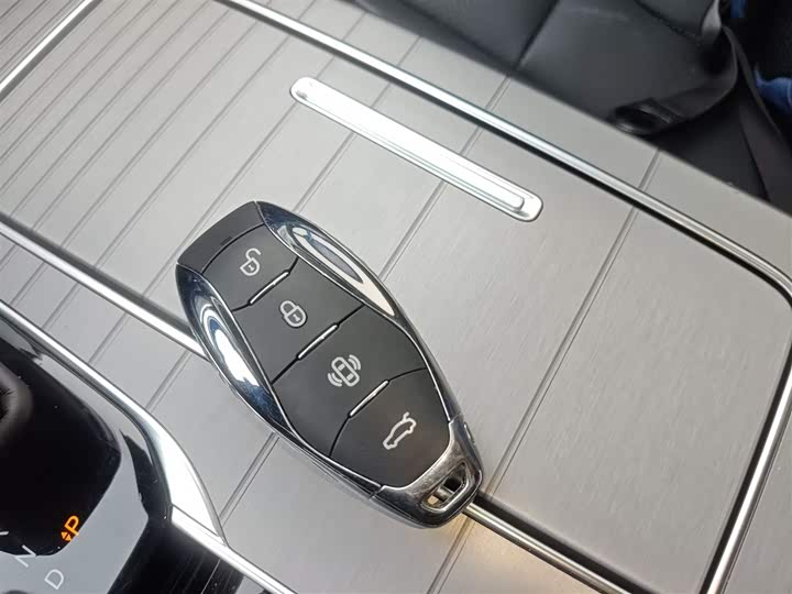 Фото 9 - Hongqi HS7 Hybrid