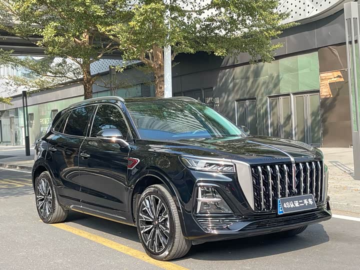 Фото 3 - Hongqi HS5
