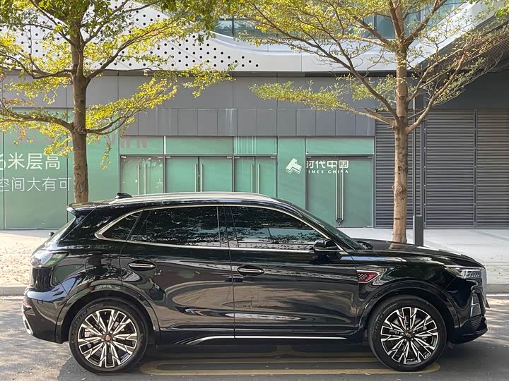 Фото 8 - Hongqi HS5