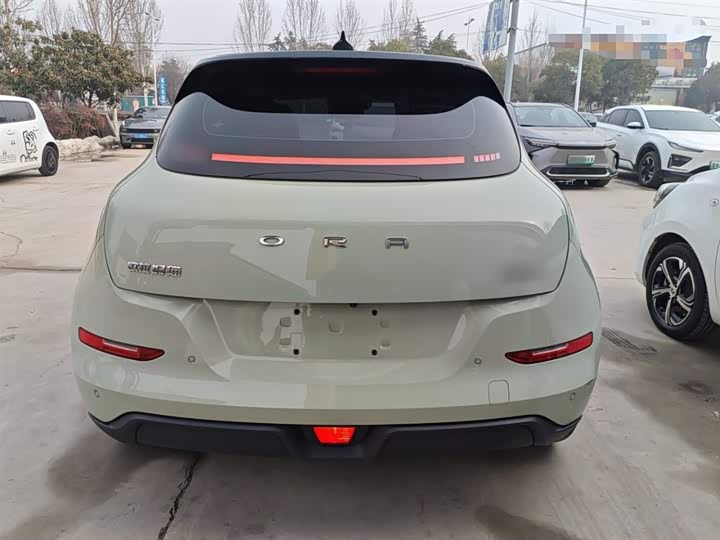 Фото 6 - Ora Good Cat (03)