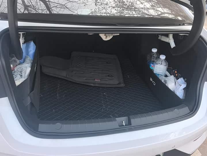 Фото 4 - BYD Qin Plus