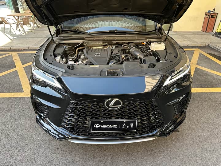 Фото 4 - Lexus RX