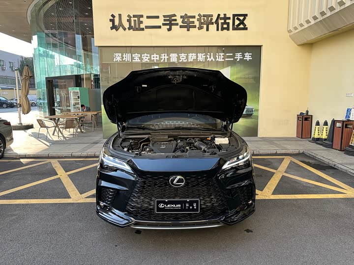 Фото 5 - Lexus RX