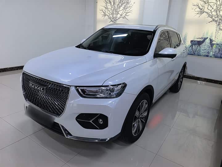 Фото 1 - Haval H6