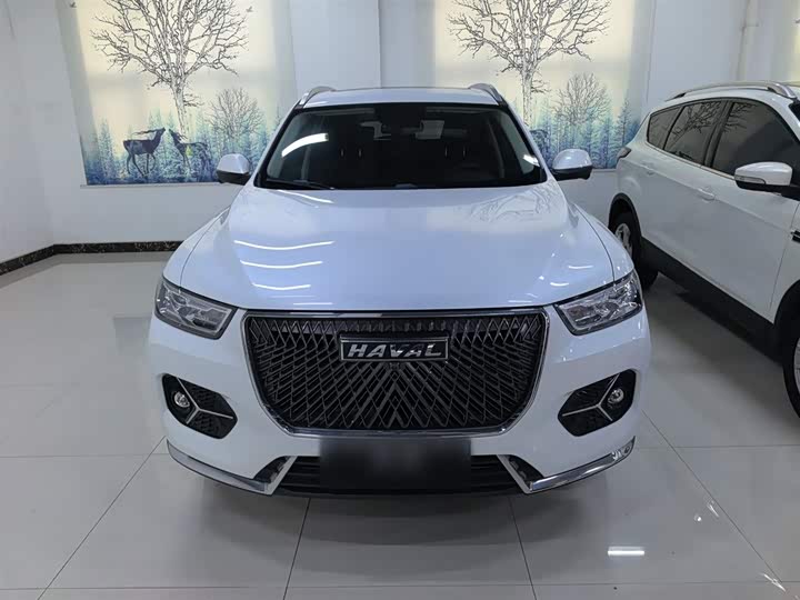 Фото 3 - Haval H6