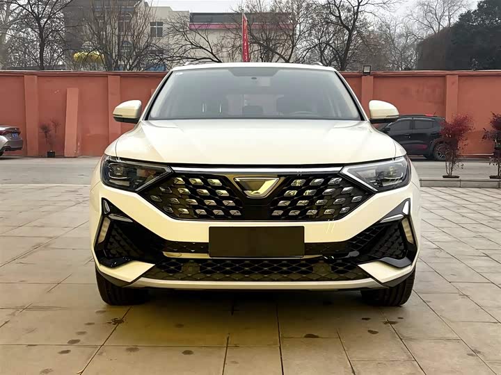 Фото 2 - Jetta VS5