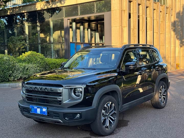 Фото 3 - Haval Dargo