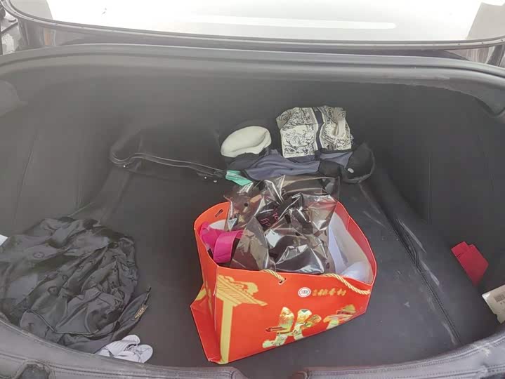 Фото 4 - Tesla Model 3