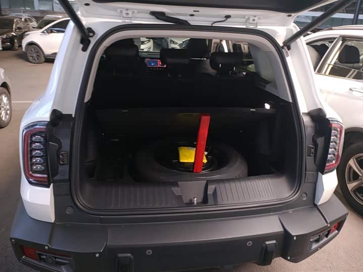 Фото 4 - Haval Dargo