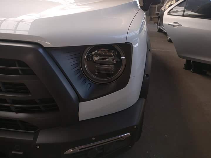 Фото 5 - Haval Dargo