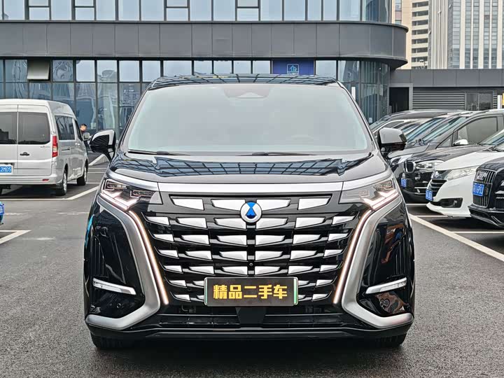 Фото 2 - Denza D9