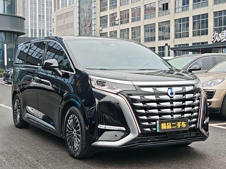 Фото 3 - Denza D9