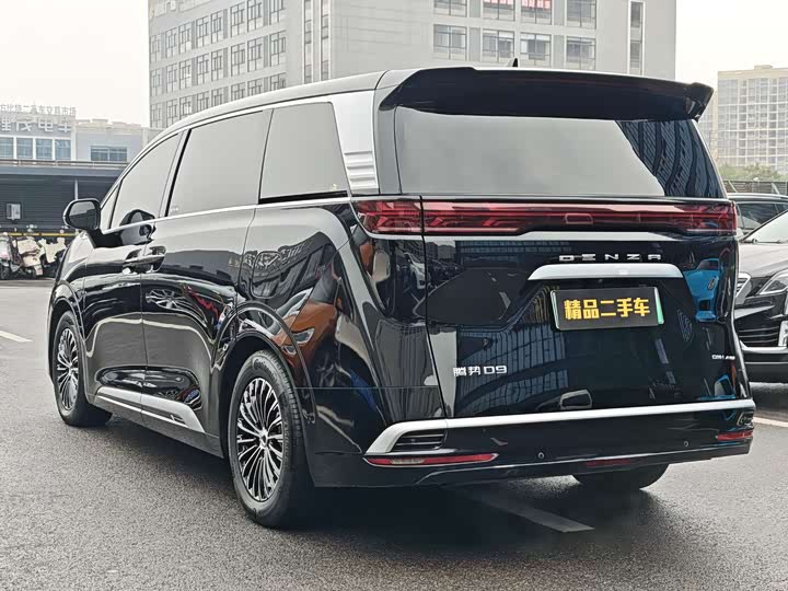 Фото 6 - Denza D9