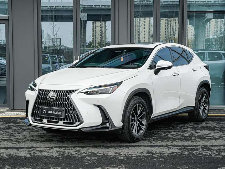 Фото 1 - Lexus NX Hybrid