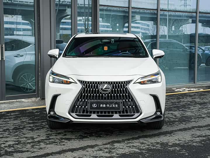 Фото 2 - Lexus NX Hybrid