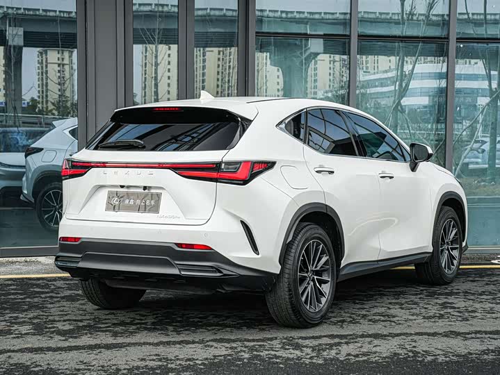 Фото 4 - Lexus NX Hybrid
