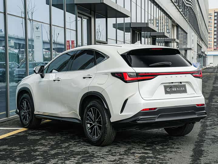 Фото 6 - Lexus NX Hybrid