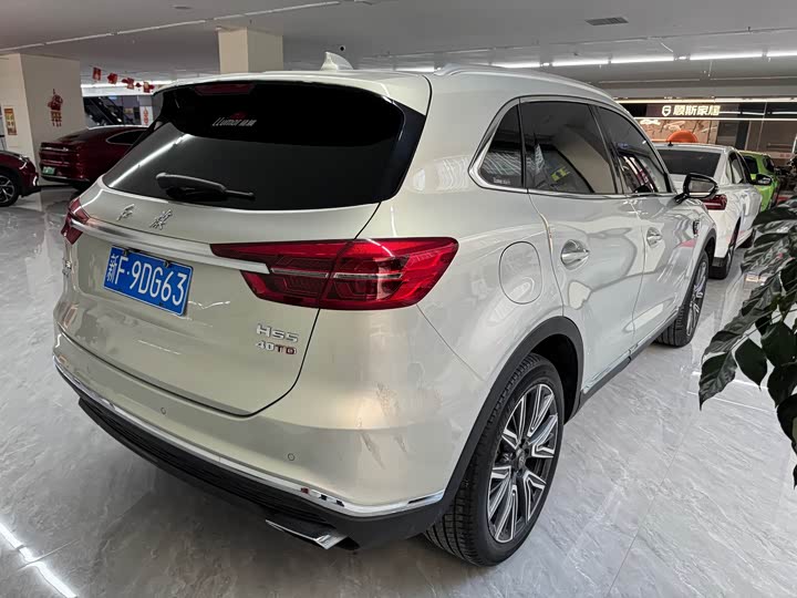 Фото 4 - Hongqi HS5