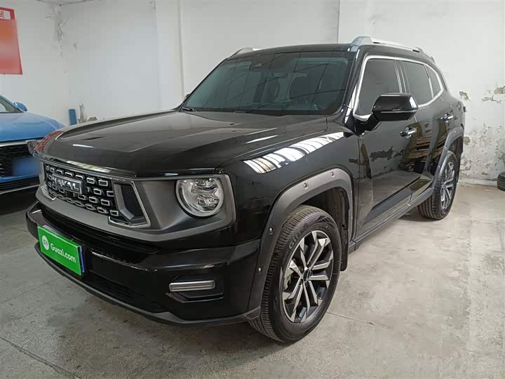 Фото 2 - Haval H-Dog