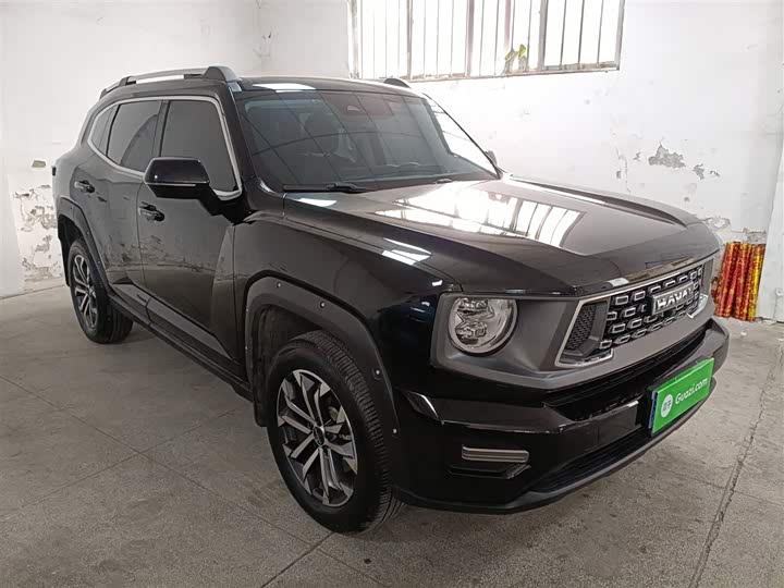 Фото 4 - Haval H-Dog