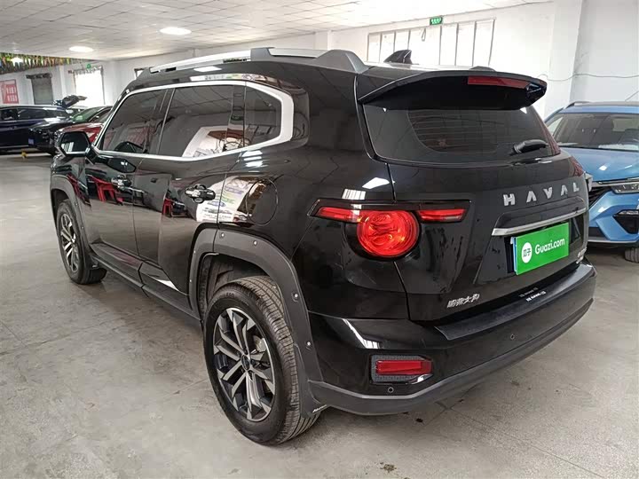 Фото 5 - Haval H-Dog