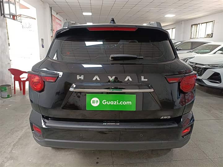 Фото 6 - Haval H-Dog