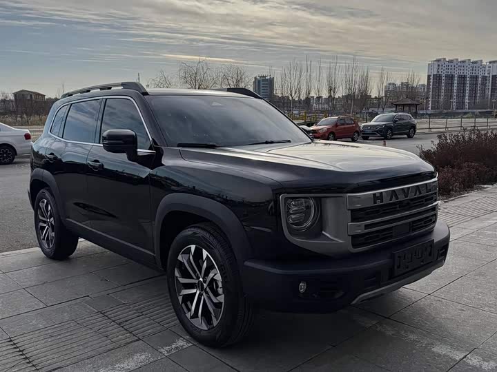 Фото 3 - Haval Dargo