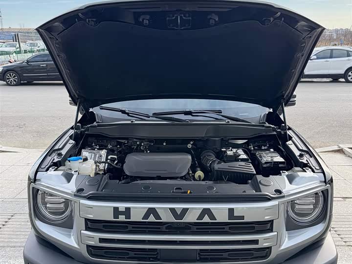 Фото 7 - Haval Dargo