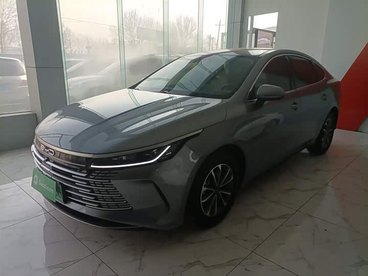 Фото 2 - BYD Destroyer 05