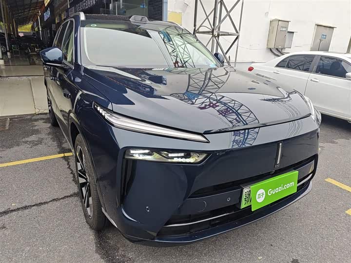 Фото 4 - Wey Lanshan