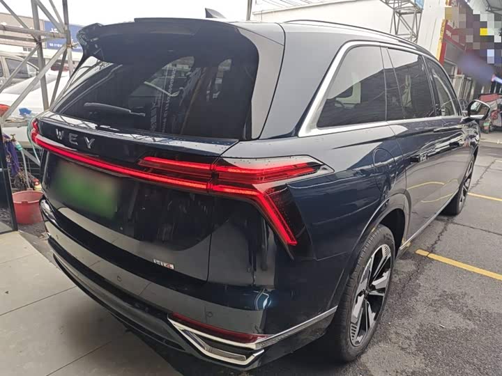 Фото 7 - Wey Lanshan