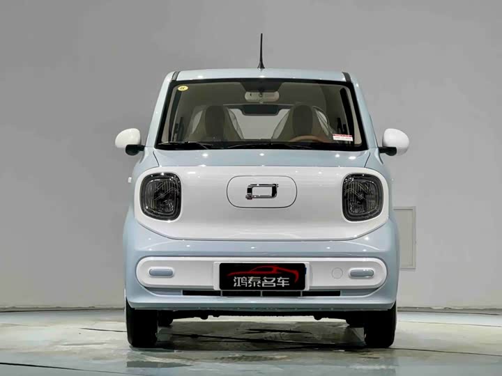 Фото 3 - Bestune Pony