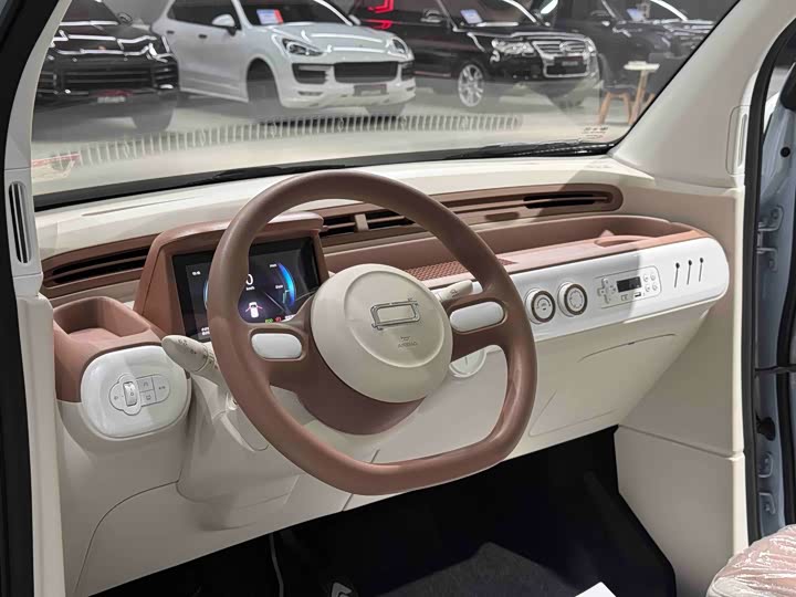 Фото 6 - Bestune Pony