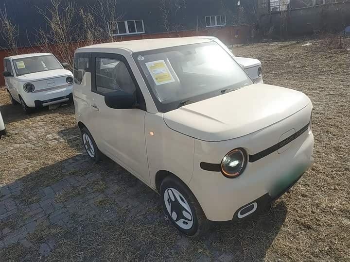 Фото 4 - Geely Galaxy Panda Mini