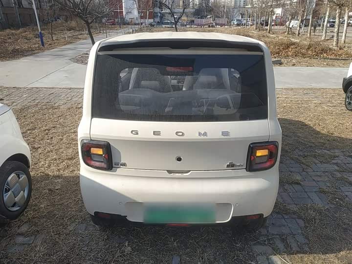 Фото 6 - Geely Galaxy Panda Mini