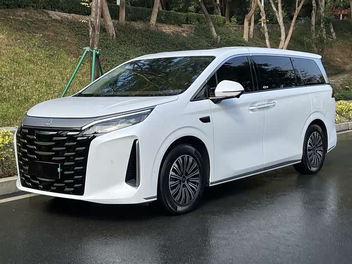 Фото 1 - BYD Xia