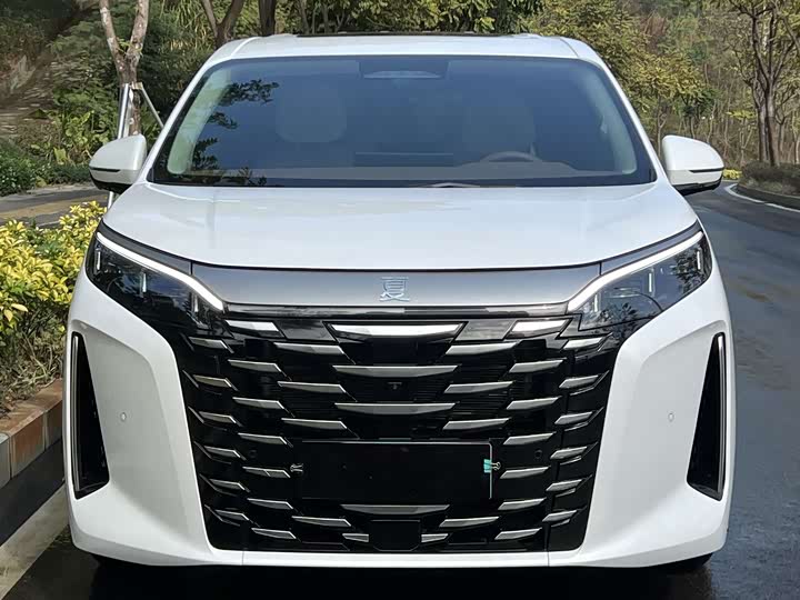 Фото 2 - BYD Xia