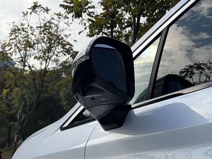 Фото 3 - BYD Xia