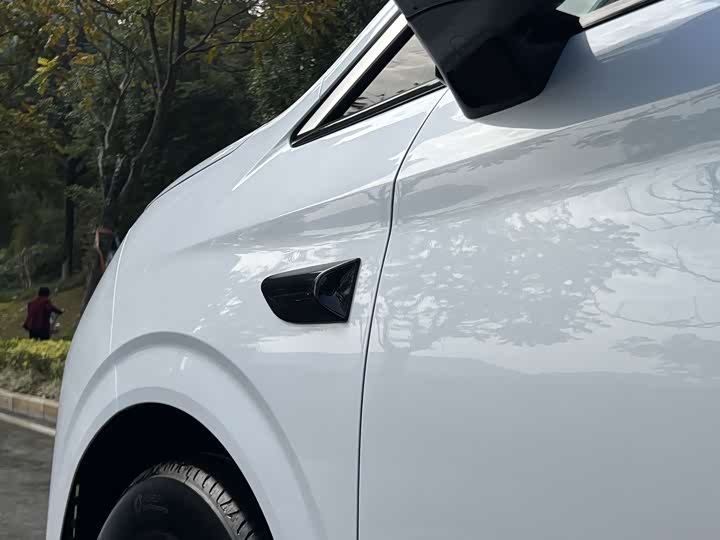 Фото 4 - BYD Xia