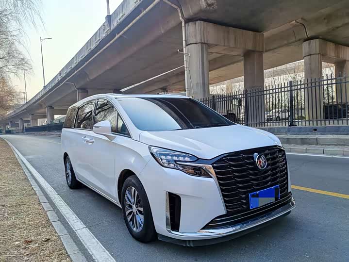 Фото 3 - Buick GL8 ES